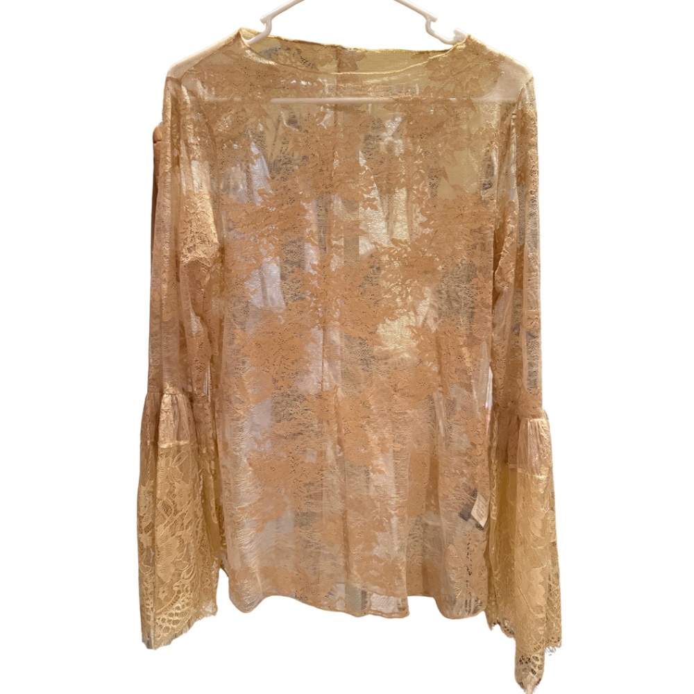Jaded Gypsy- sheer Garden Tea Lace Top ***has a few small holes***